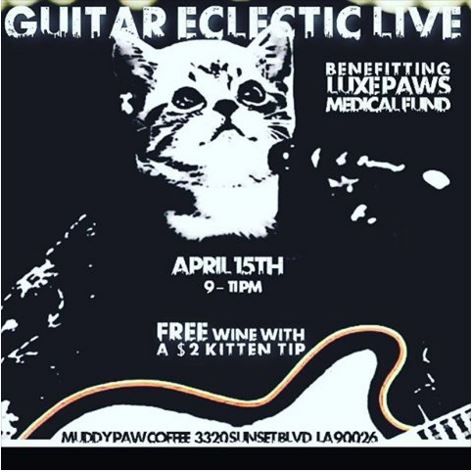 Guitar Eclectic Friday Fundraiser