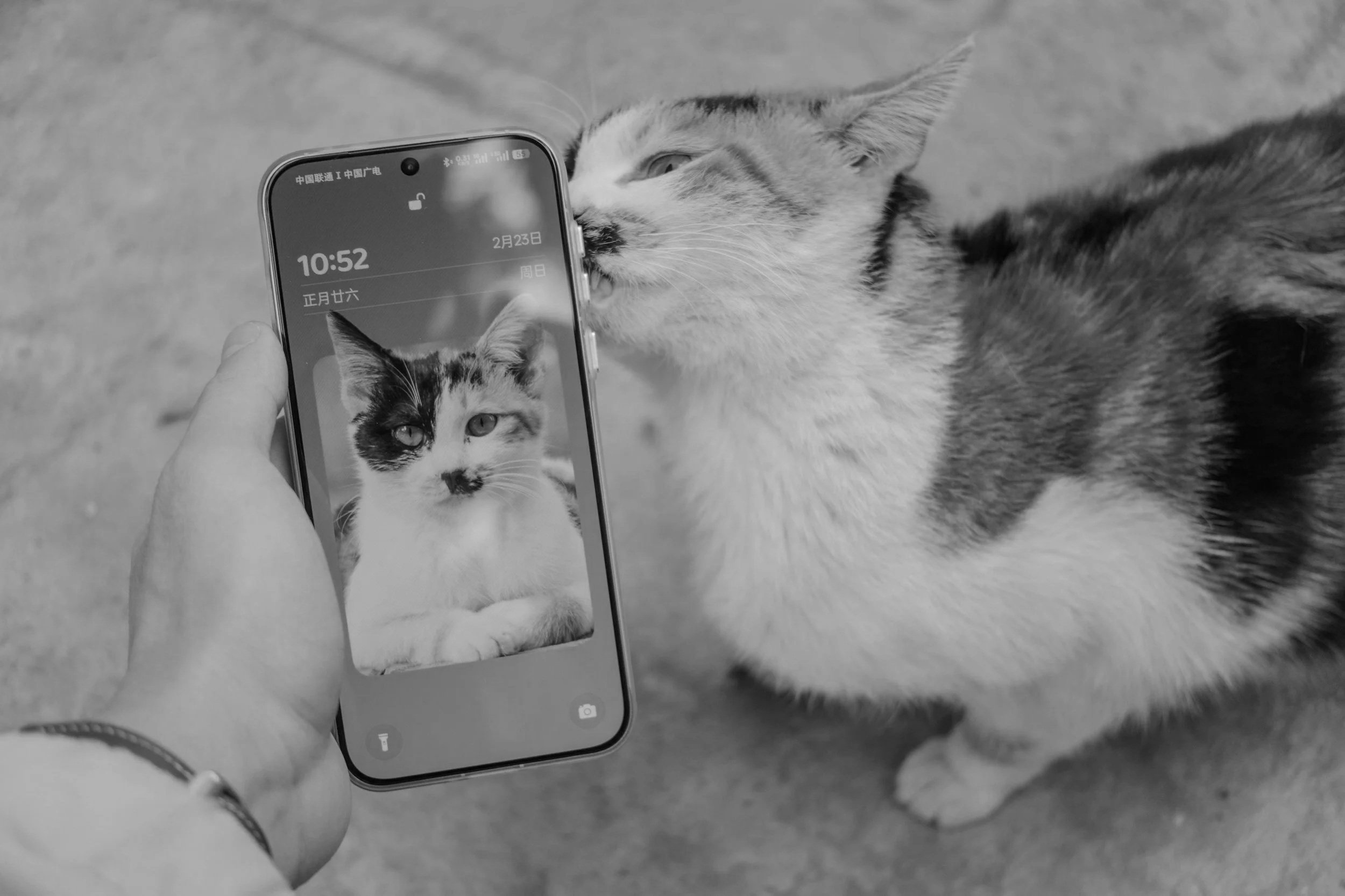 Contact