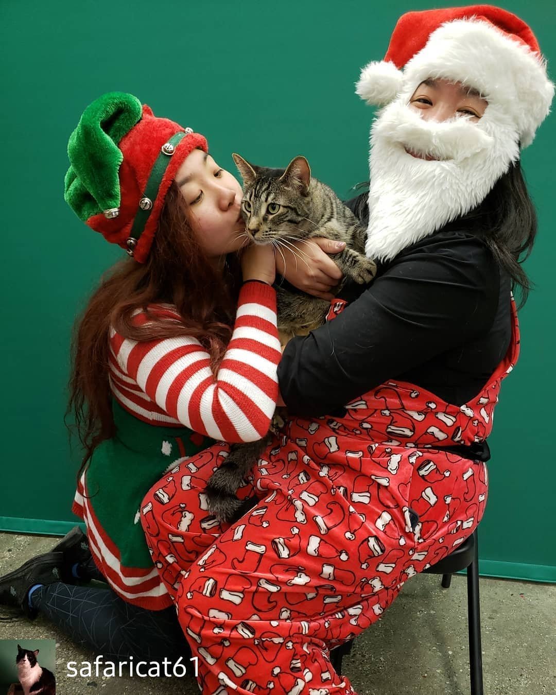 Update : Elliott just got adopted today!!!!! ❤️👍 Elliott enjoying hugs and kisses from our volunteer trappers Elizabeth and her sister at adoptions Saturday at #unleashedpetcoMonrovia. Elliott is one of the endless fosters we pull weekly from the st