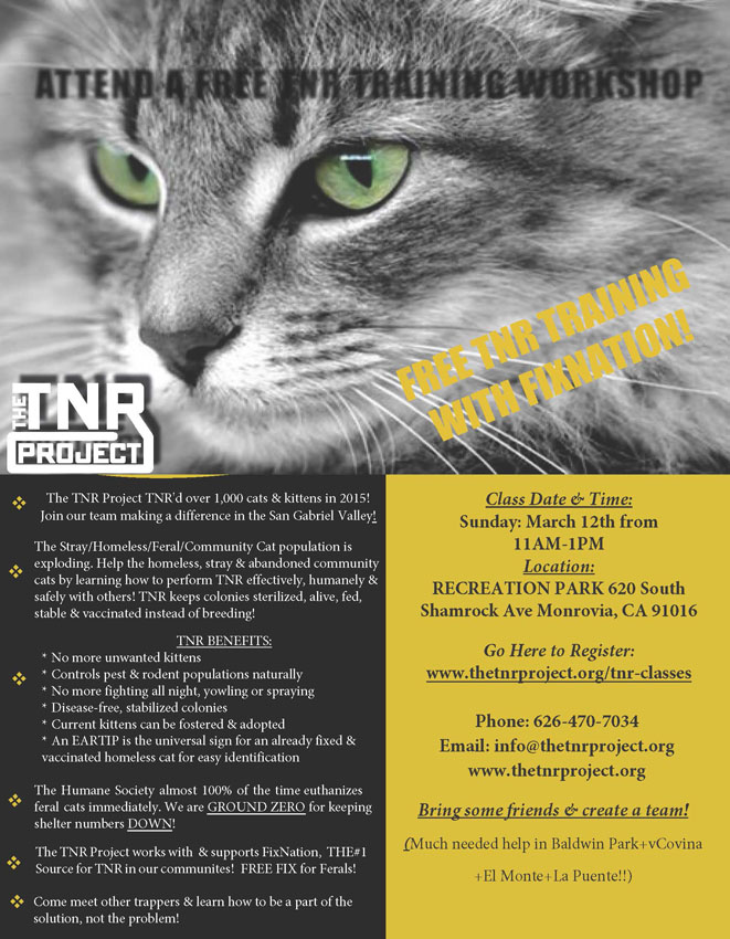 FREE TNR Class
