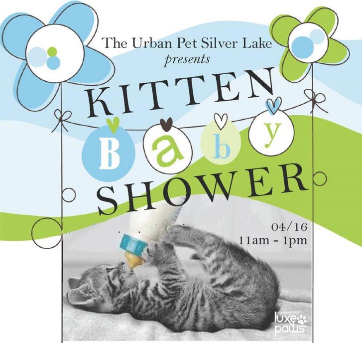Luxe Paws Kitten Baby Shower at The Urban Pet