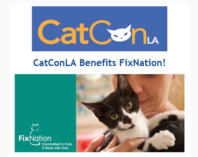 CatCon LA @ The Reef