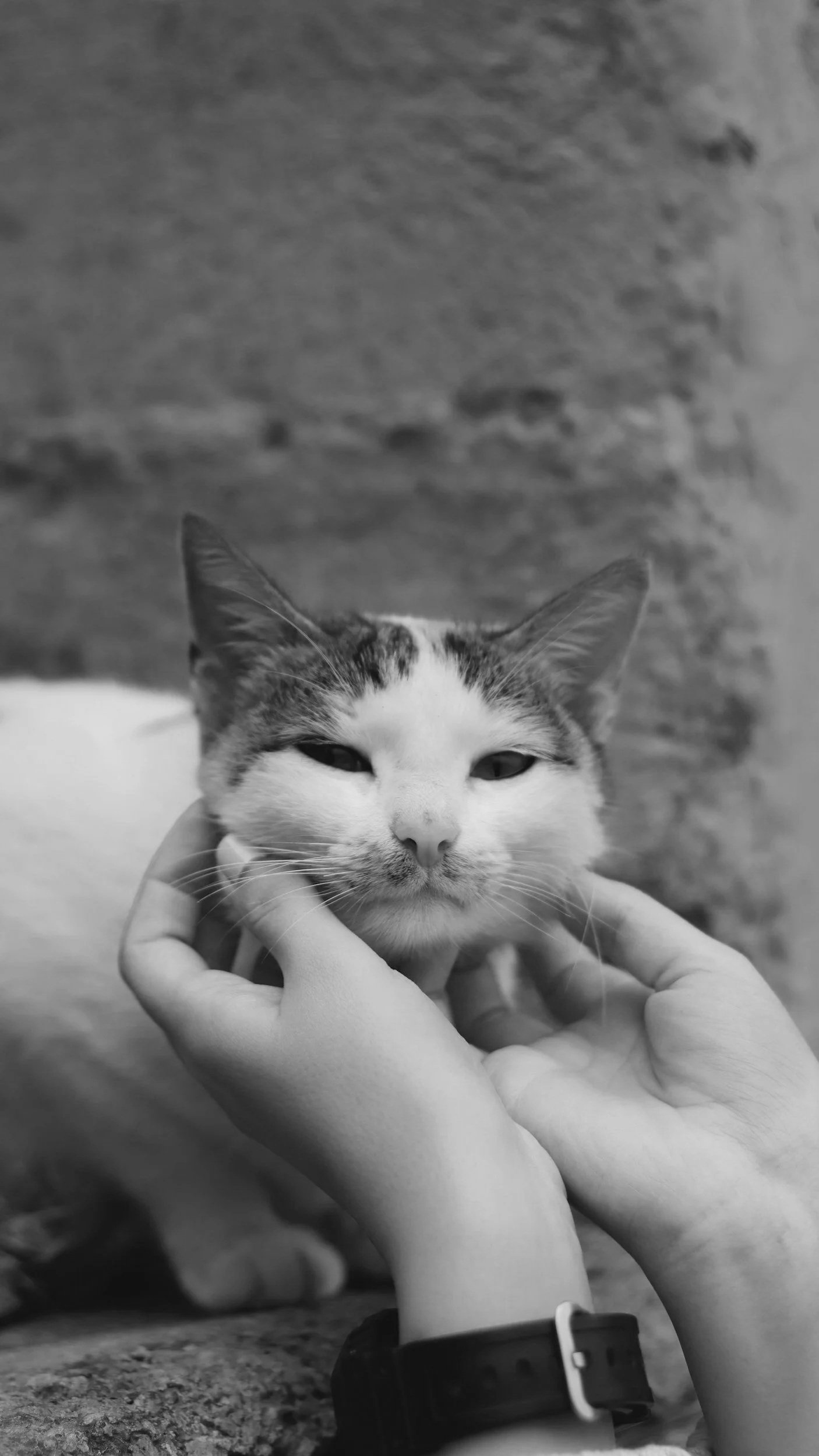 Volunteer
