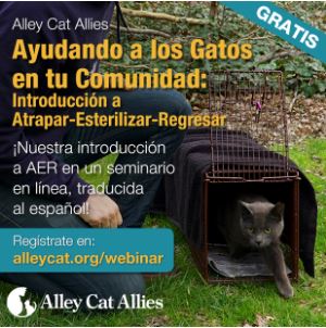 Alley Cat Allies TNR Webinar in Spanish July 20th, 2016